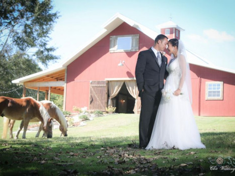 The Barn at Dogwood Farms