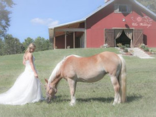 The Barn at Dogwood Farms