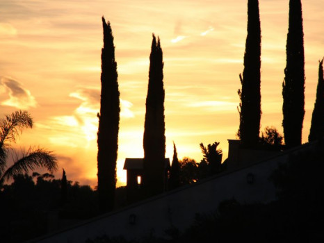 Casa Oceana Malibu