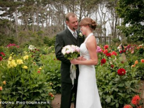 Mendocino Coast Botanical Gardens