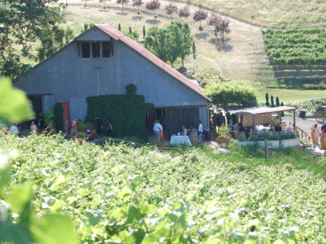 Taber Ranch Vineyards & Event Center