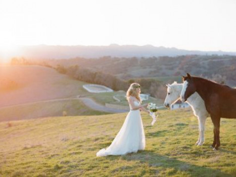 Lekai Ranch