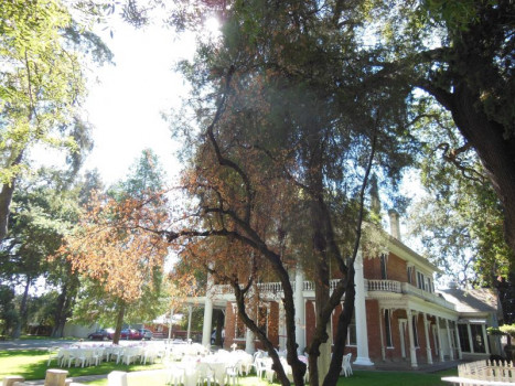 The Gibson House