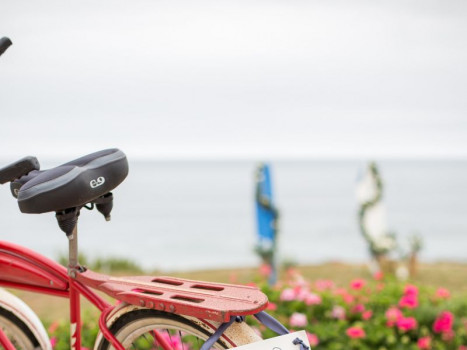 Malibu Seaside Wedding Elopements