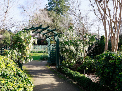 Elizabeth F. Gamble Garden