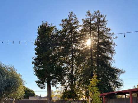 Heritage Hall & Gardens, Petaluma Fairgrounds