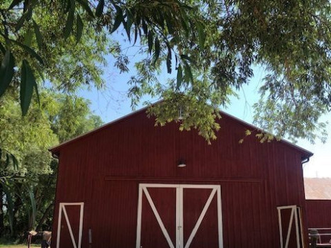 Reynolds Ranch at the Western Museum of Mining & Industry