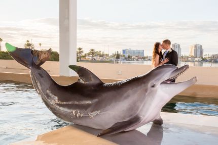 Photo of Clearwater Marine Aquarium