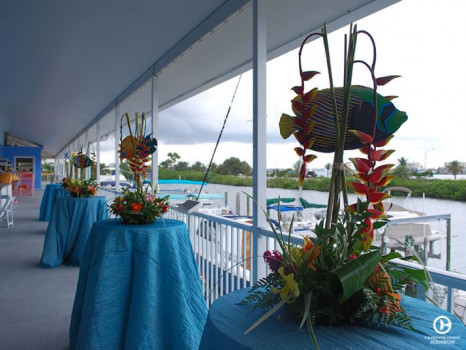 Clearwater Marine Aquarium