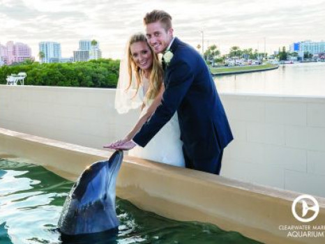 Clearwater Marine Aquarium