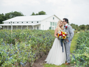 Ever After Farms Blueberry Barn