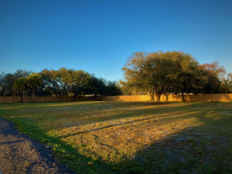 Willow Crest En Plein Air