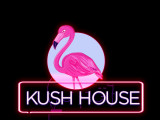 Kush House Studio