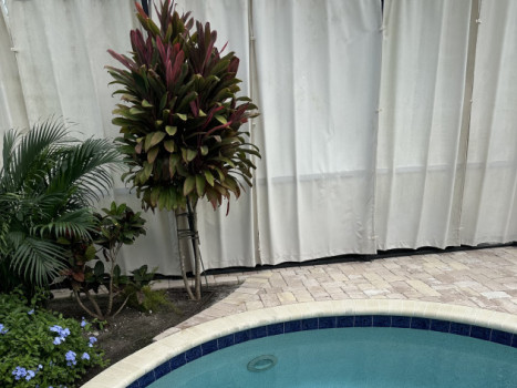 The Poolside Wedding Venue