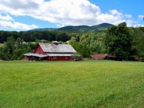 Mountain Laurel Farm