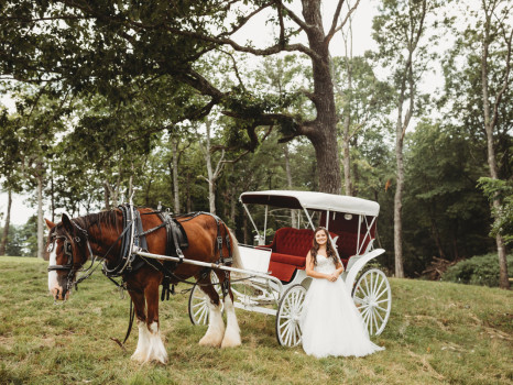 Satolah Creek Farm