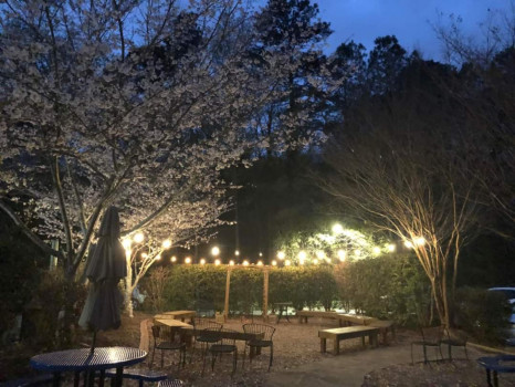 Unity North Atlanta Church