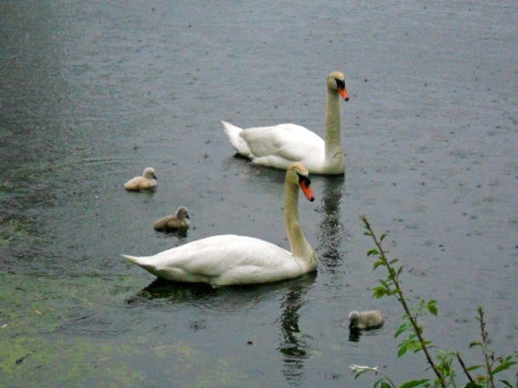 The WaterBird Banquet Center