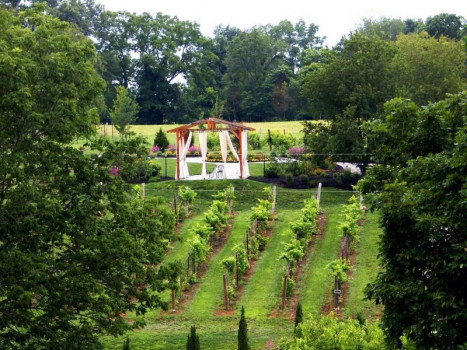 Brianza Gardens and Winery