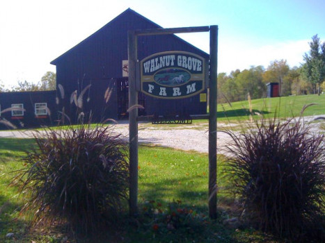 Walnut Grove Farm