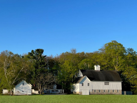 Cherry Basket Farm