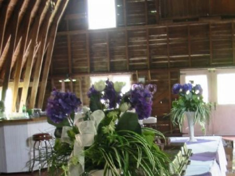 Blue Dress Barn