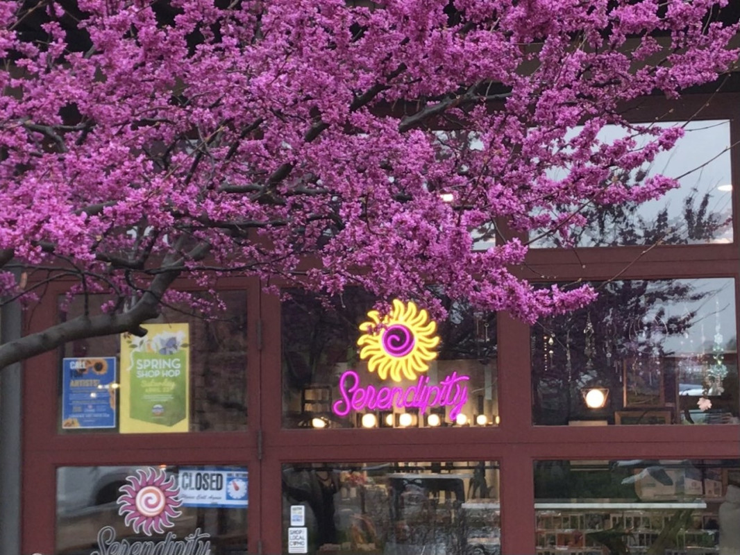 Serendipity Salon and Gallery in Columbia, Missouri