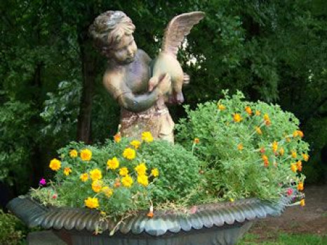 McNutt House - Courtyard