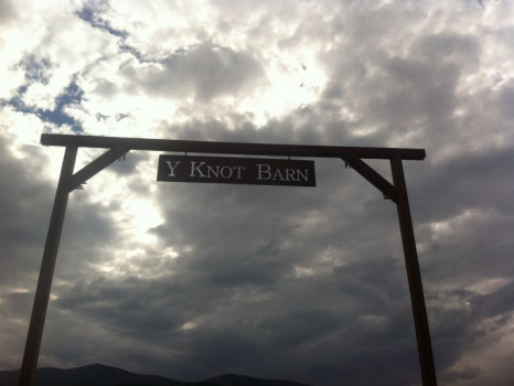Y Knot Barn & Event Center