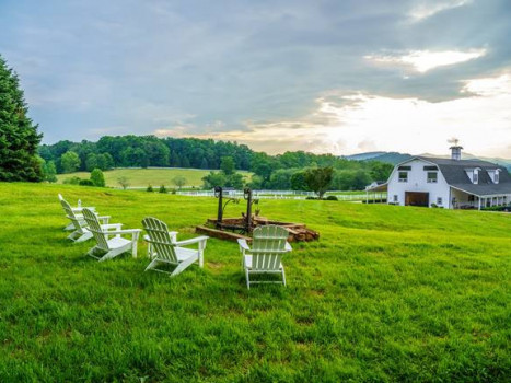 The Horse Shoe Farm