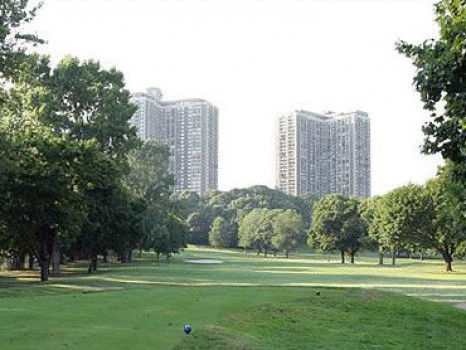 Towers on the Green