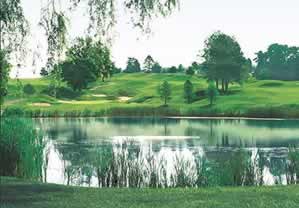 Photo of Doral Arrowwood