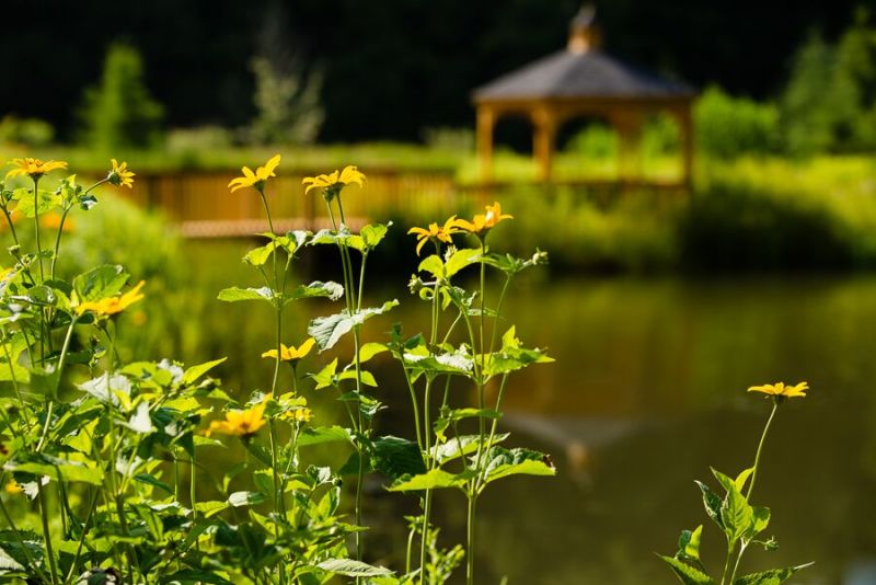 Photo of Catskill Weddings at The Natural Gardens