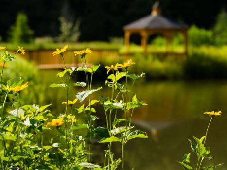 Catskill Weddings at The Natural Gardens