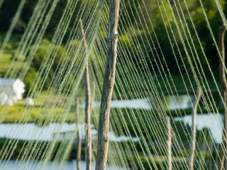 Catskill Weddings at The Natural Gardens