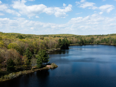 The Eldred Preserve