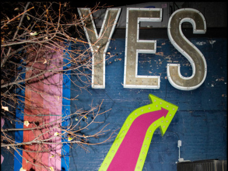 House of Yes