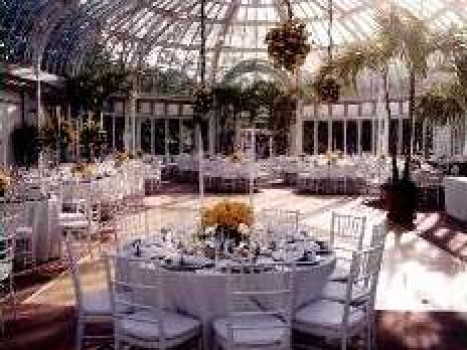 The Palm House