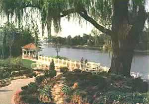 Photo of Thatched Cottage