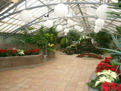 Morrison Conservatory