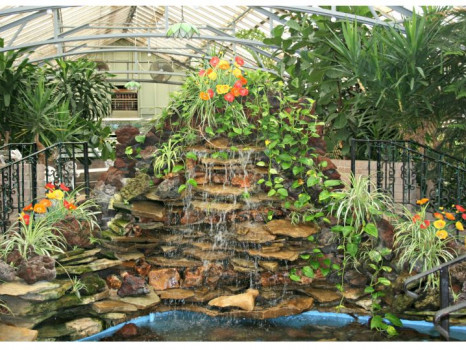 Morrison Conservatory