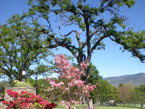 Rogue Valley Country Club