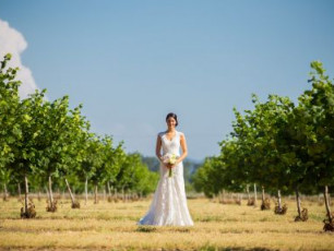 Stewart Family Farm Outdoor Weddings