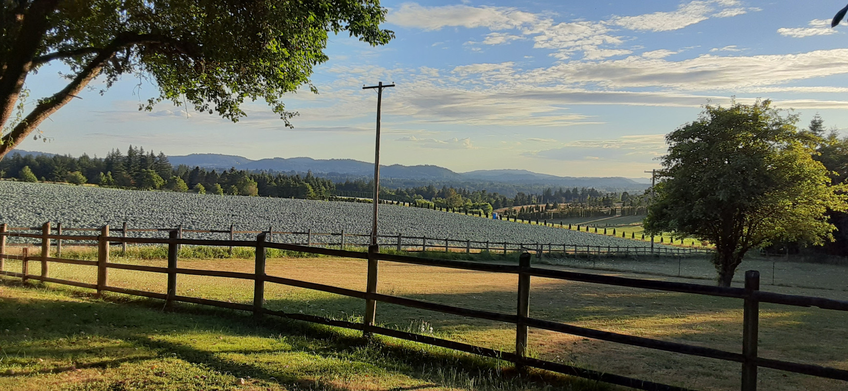 English's Pleasant View Farm in Troutdale, Oregon