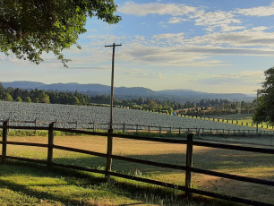 English's Pleasant View Farm