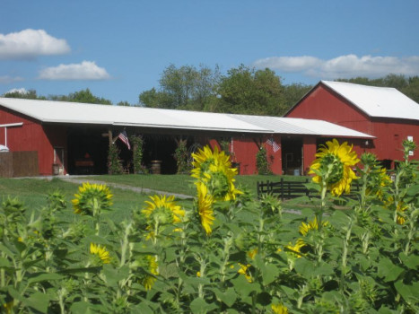 The Barn at Soergel Hollow
