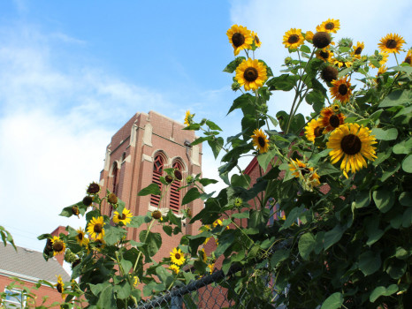 Pittsburgh Mennonite Church