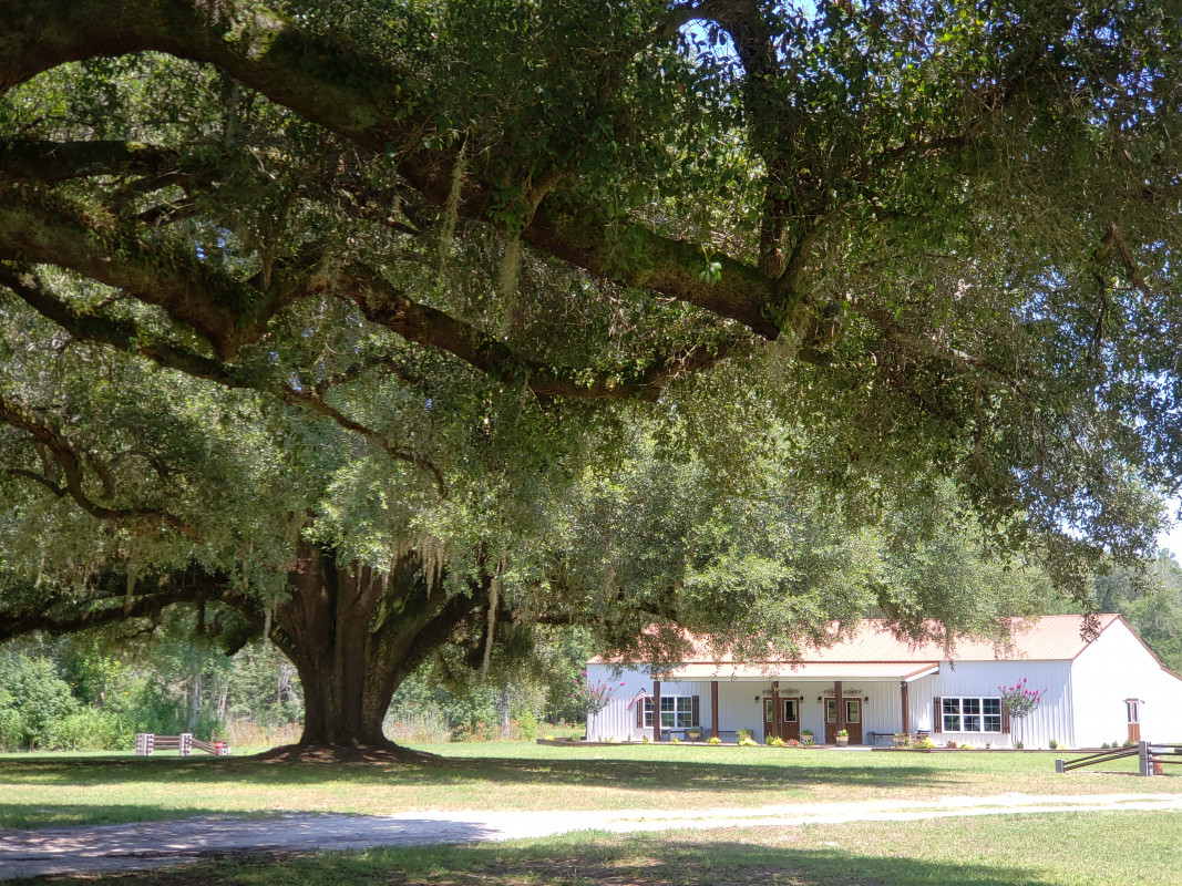 Photos of Copper Oak Plantation Bamberg
