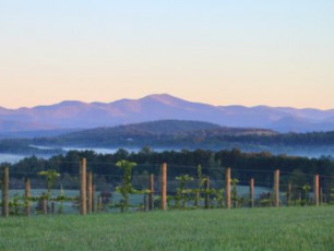 Chattooga Belle Farm