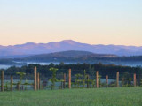 Chattooga Belle Farm